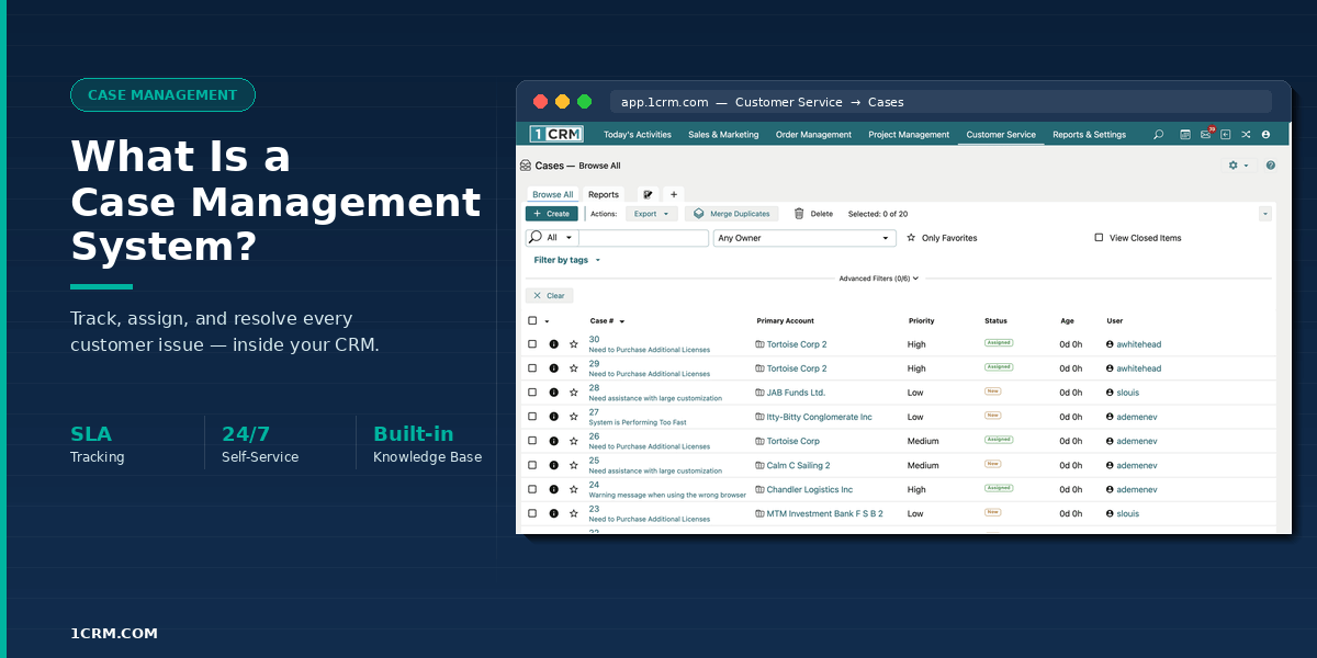 1CRM case management UI screenshot